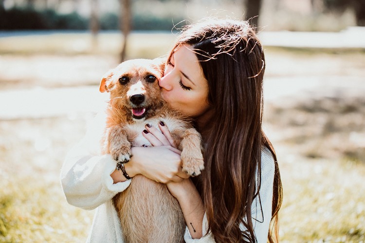 co¦ümo dar la bienvenida a tu perro adoptado 2.jpg