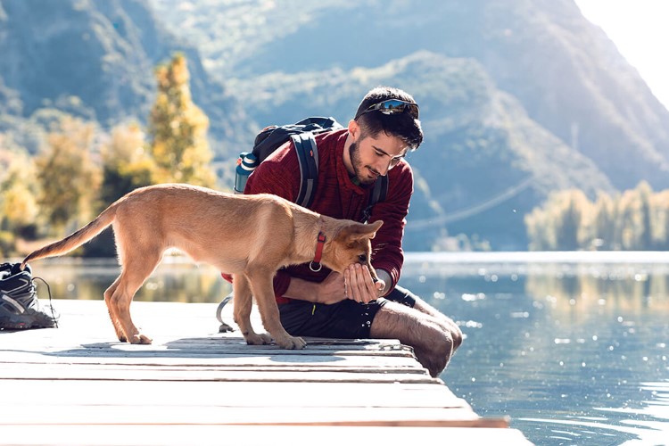 mejores rutas para pasear con tu perro en invierno (2).jpg
