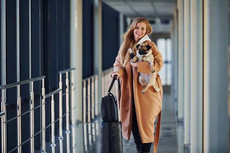 viajar con tu perro en avión (1)-.jpg