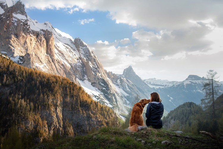 mejores rutas para pasear con tu perro en invierno (1).jpg