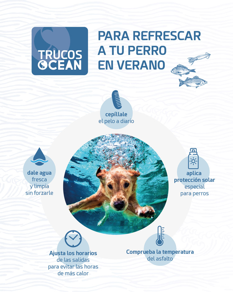 INFOGRAFIA trucos perro verano.jpg