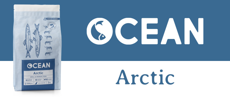 Ocean Arctic