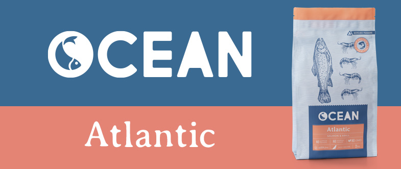 Ocean Atlantic